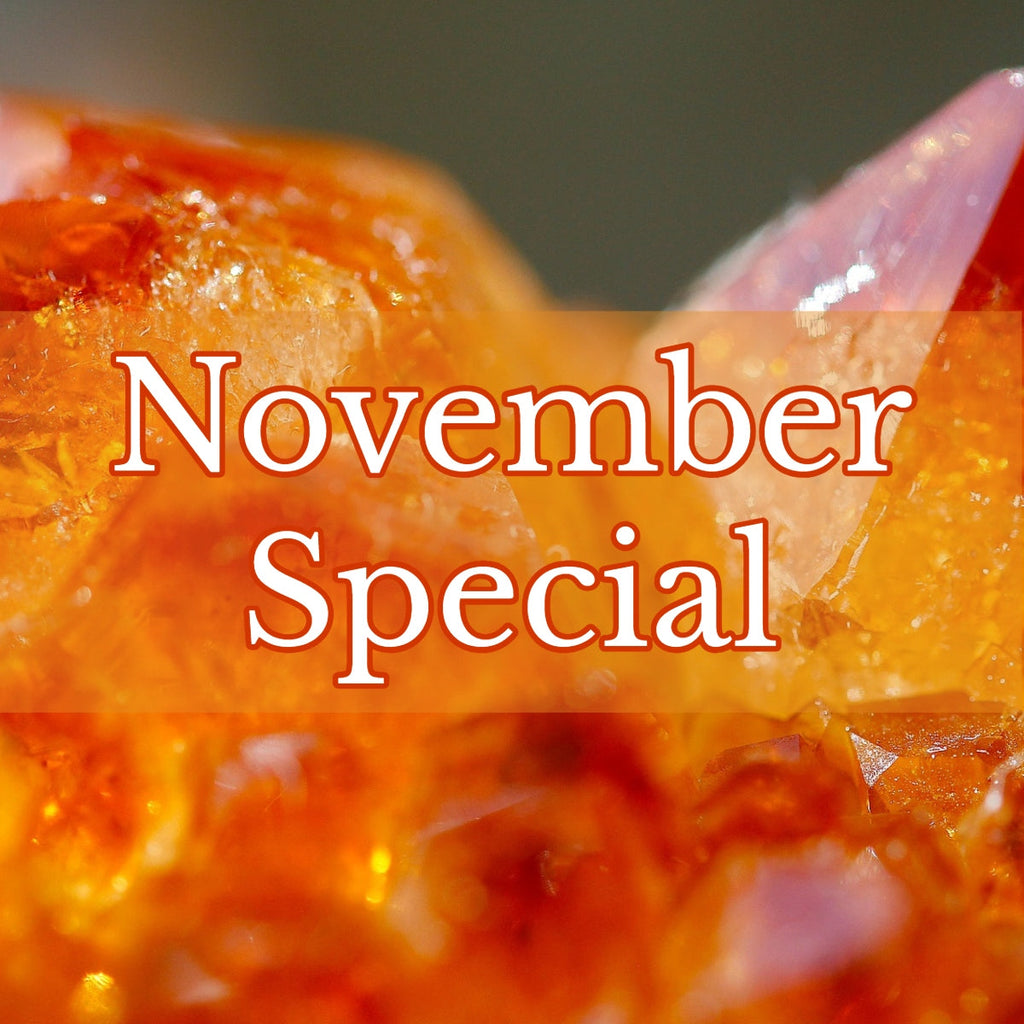 ~November~ Special of Month