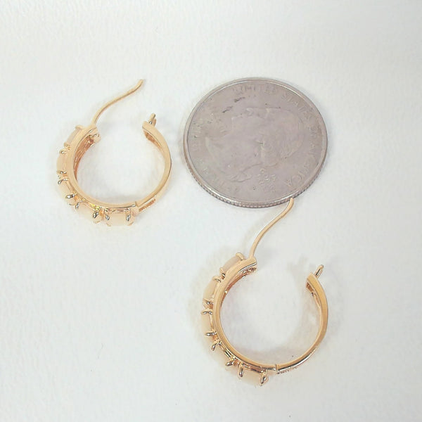 14K Mother of Pearl Hoop Earrings