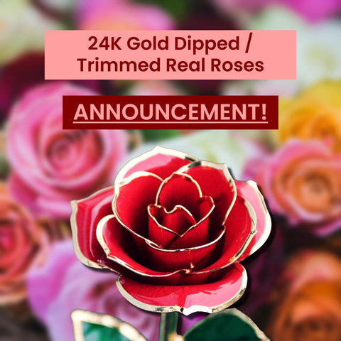 24K Gold Dipped / Trimmed Roses Announcement