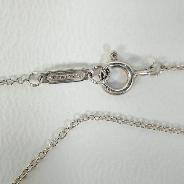Tiffany & Co. Double Circle Necklace