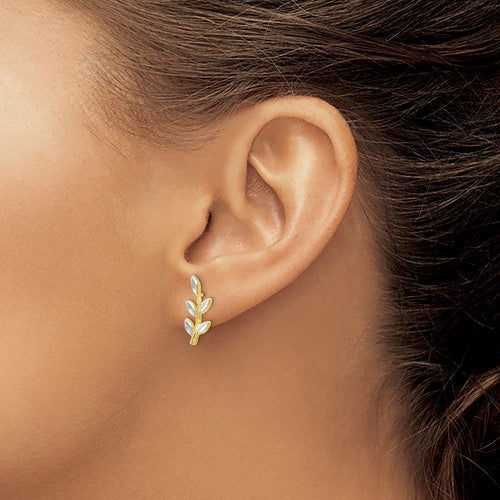 10K Two-Tone Gold Branch & Leaf Post Earrings