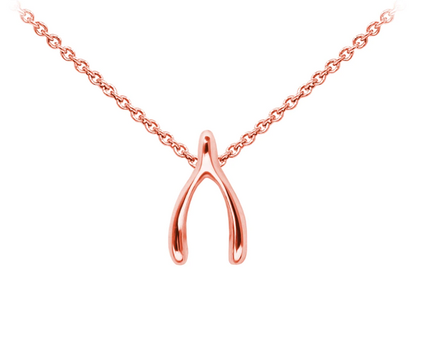 Wishbone Sterling Silver Dainty Necklace